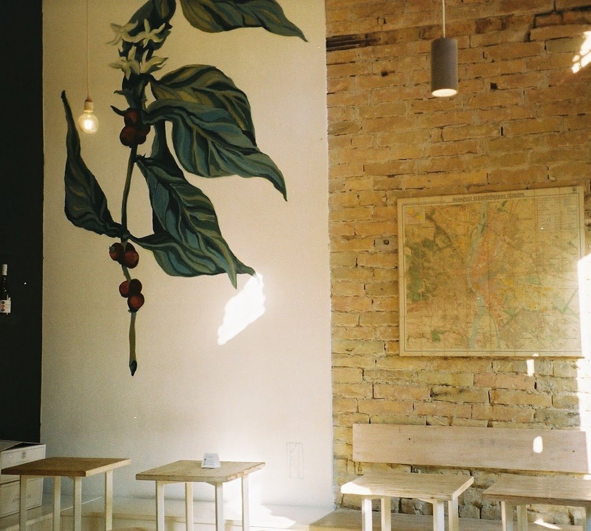 Cube Coffee Bar - specialty coffee shop specialty coffee shop in Budapest - photo 11