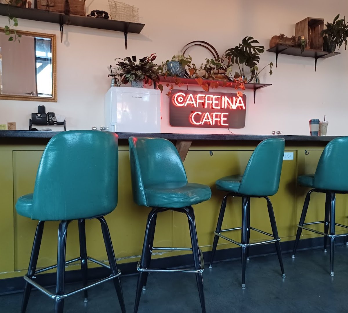 Caffeina Roasting Company - Overland specialty coffee shop in Boise - photo 11