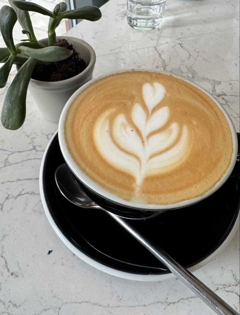 Coffee at Moss Cafe, specialty coffee shop in Warsaw