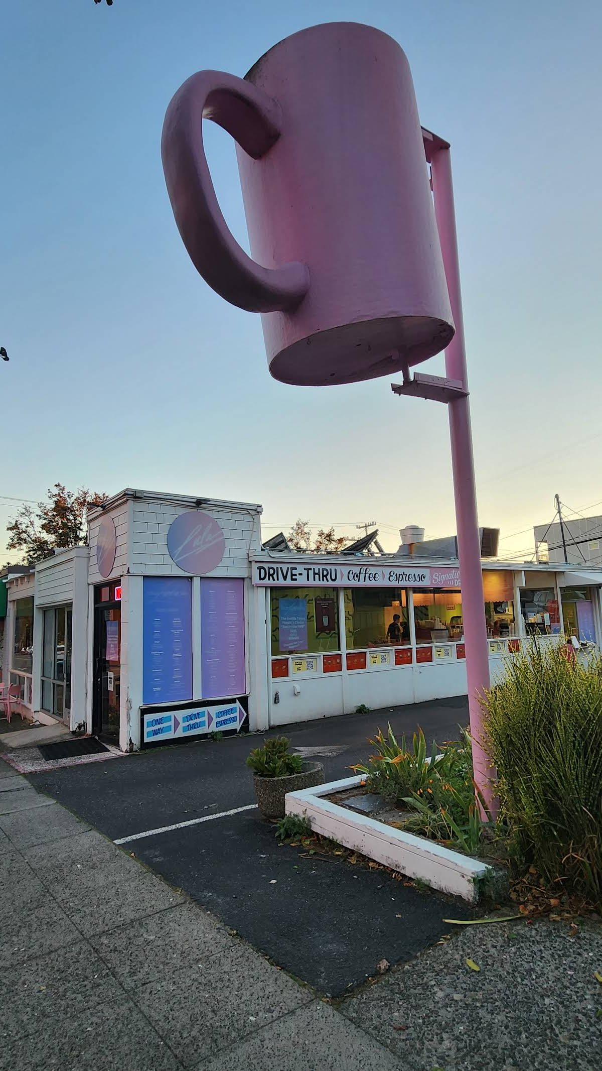 Lula Coffee Co specialty coffee shop in Seattle - photo 13