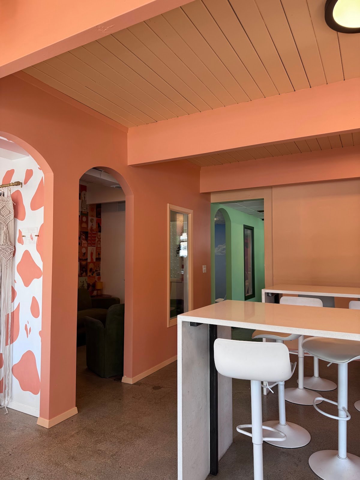 Lula Coffee Co specialty coffee shop in Seattle - photo 7