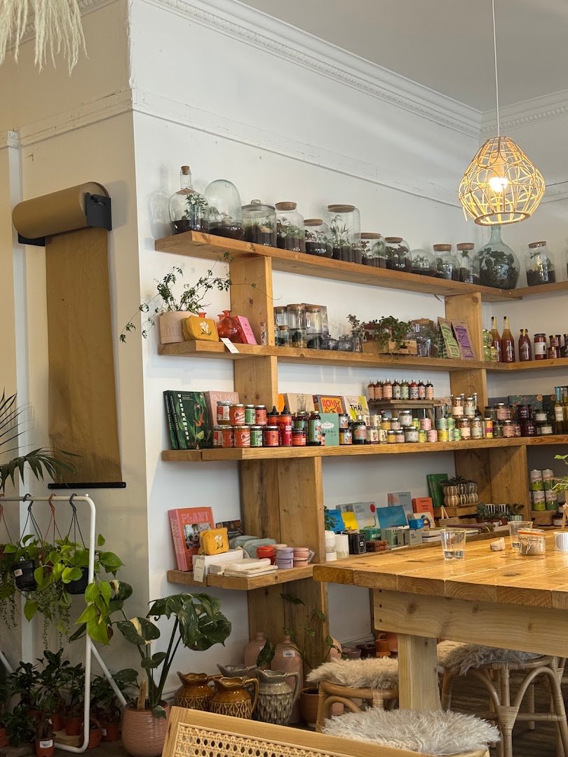 Interior of Disposition, specialty coffee shop in Edinburgh