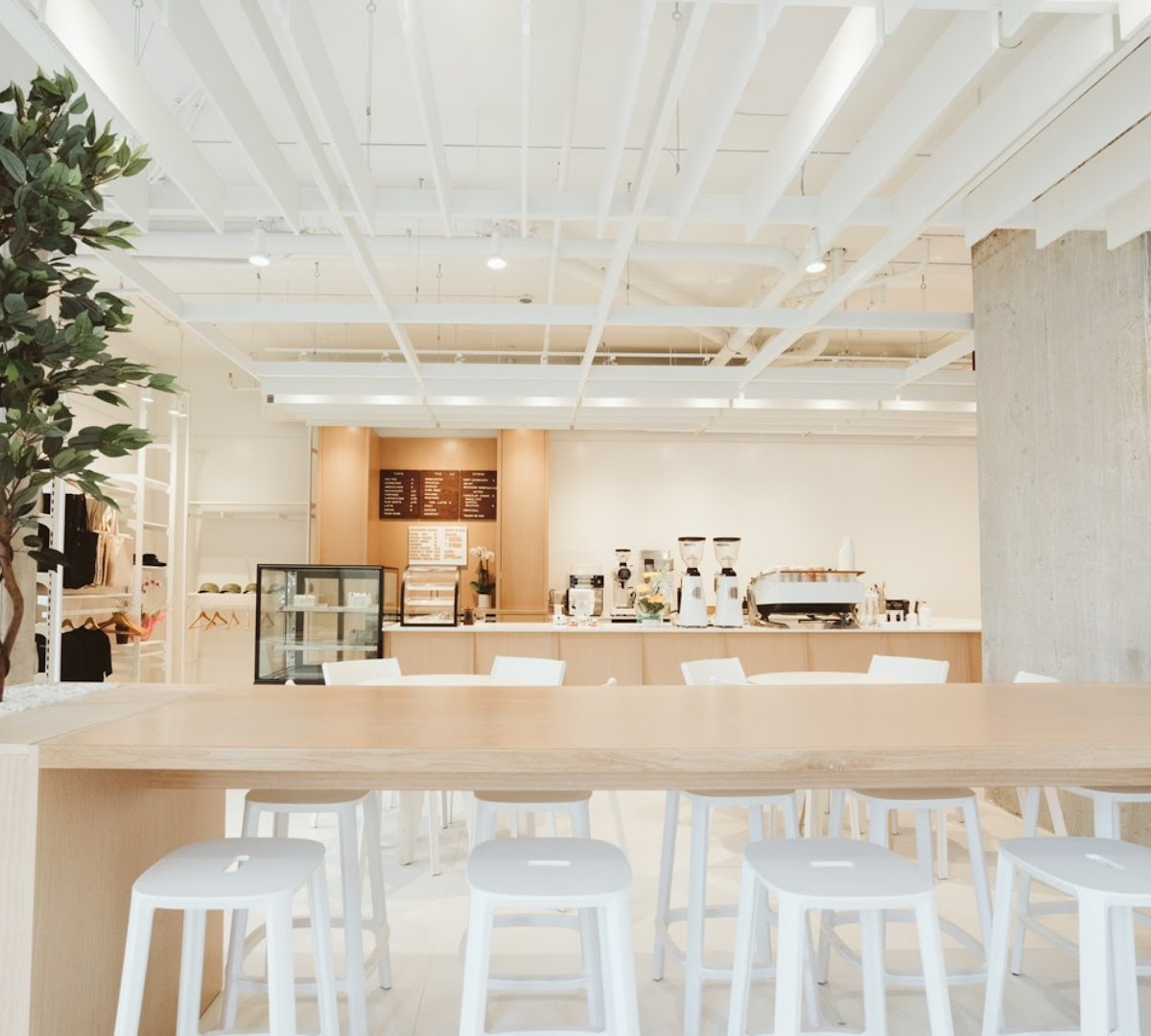 Interior of White Heron Coffee, specialty coffee shop in Montreal