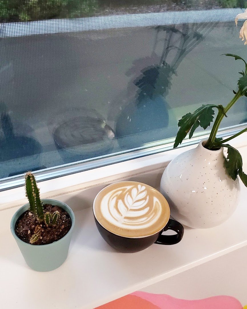 Coffee at Elevation Coffee Roasters, specialty coffee shop in Tampa-St. Petersburg