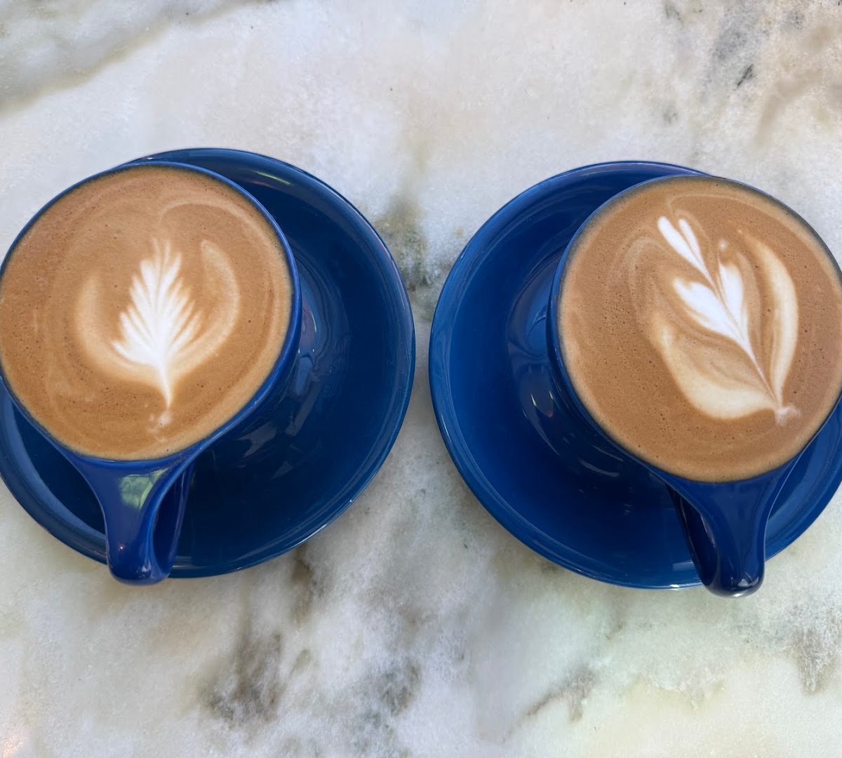 Coffee at Mothership Coffee Roasters, specialty coffee shop in Las Vegas