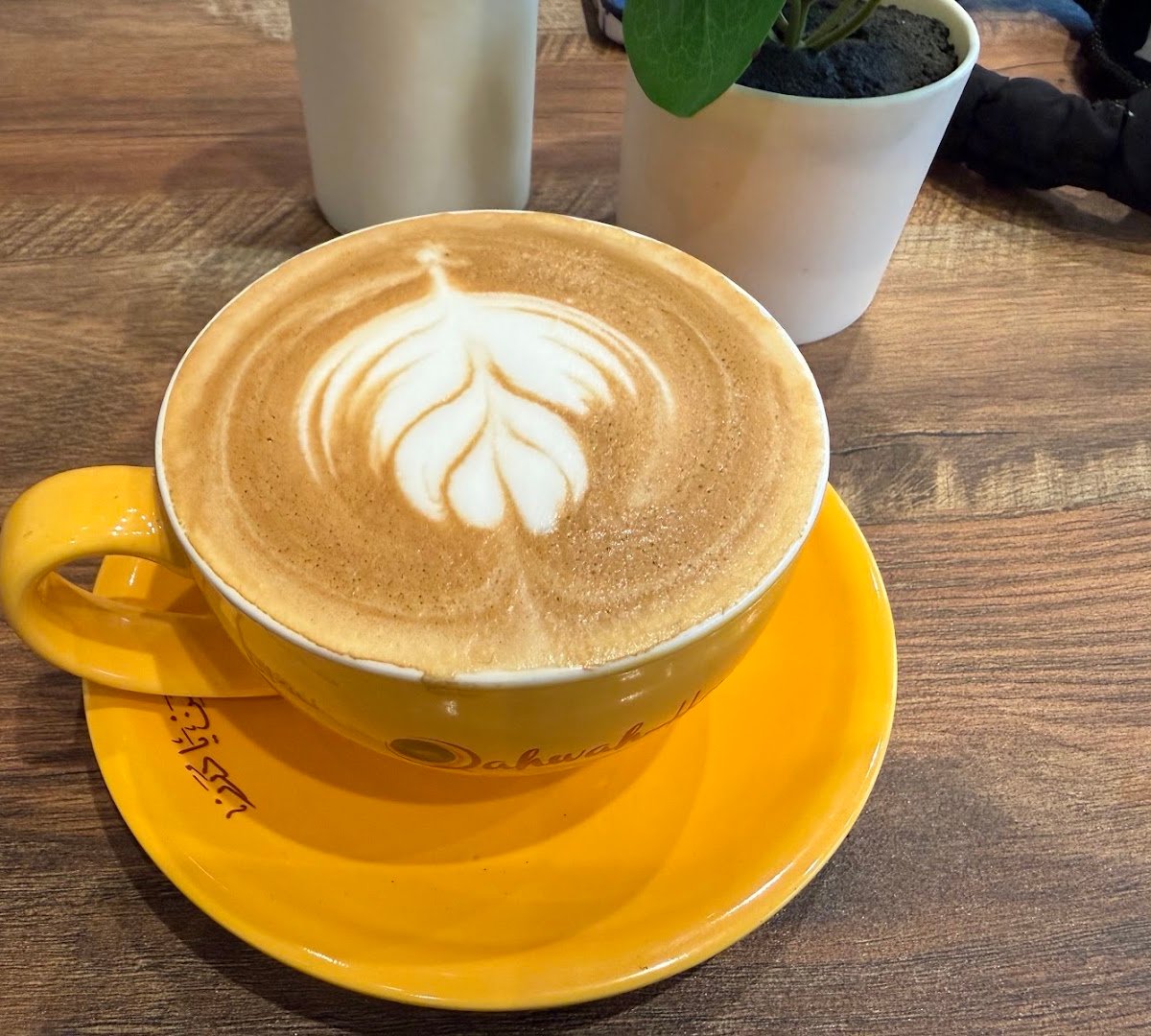 Coffee at Qahwah House Coffee - Ithaca, specialty coffee shop in Ithaca