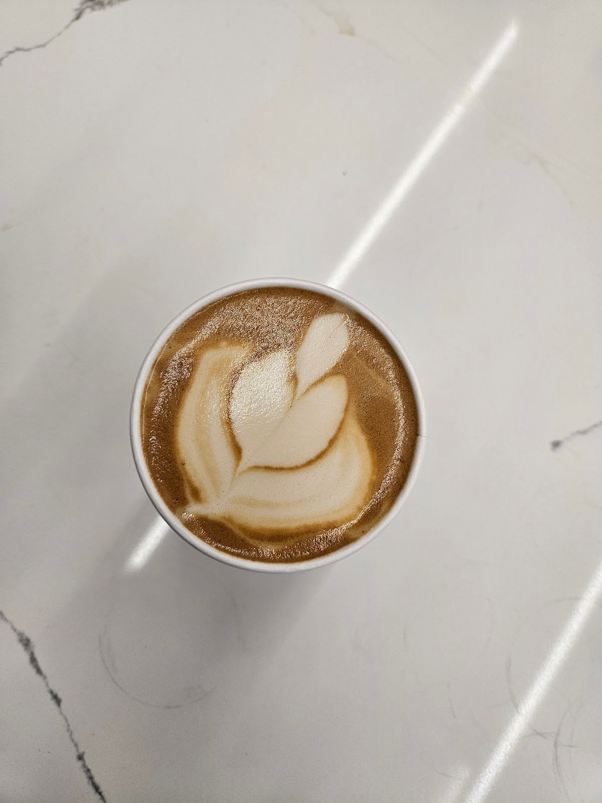 ESPRESSO AND MILK specialty coffee shop in Chicago - photo 4