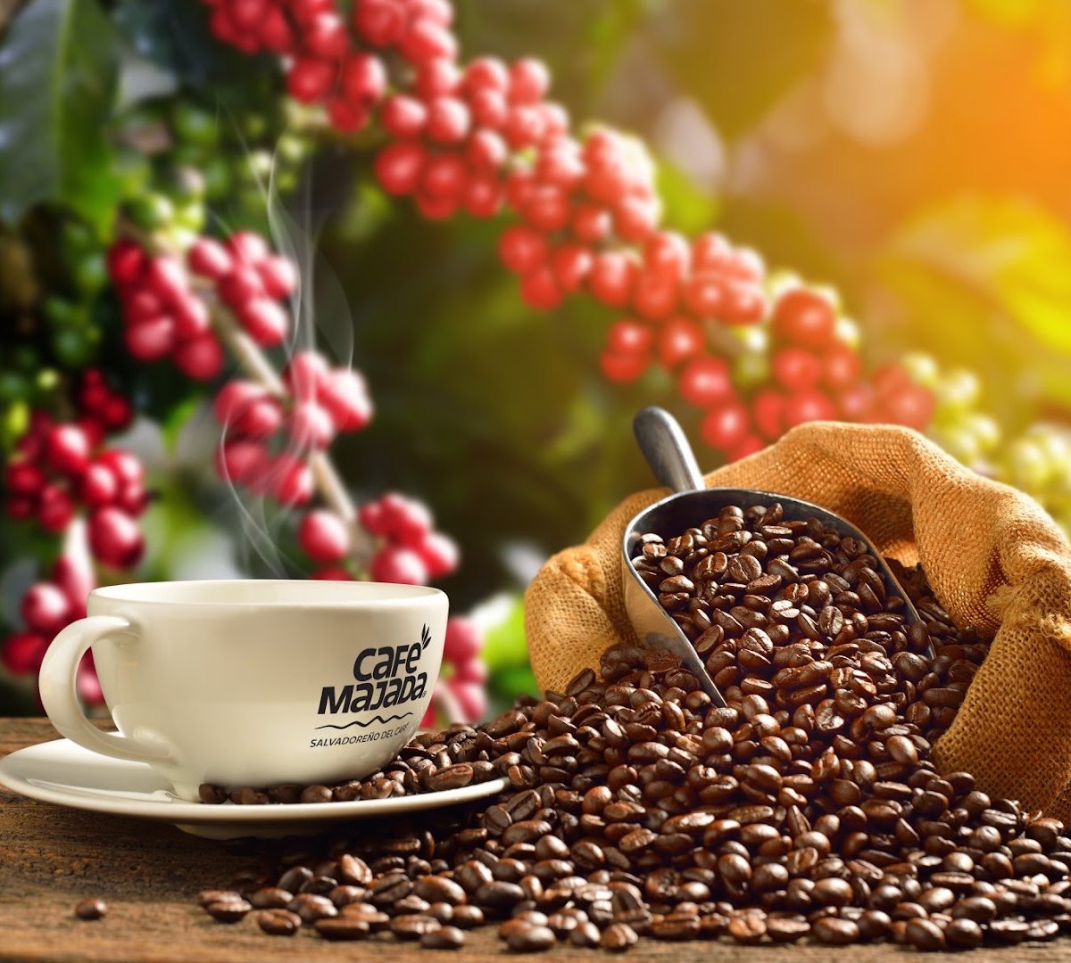 Coffee at Café Majada Prague, specialty coffee shop in Prague