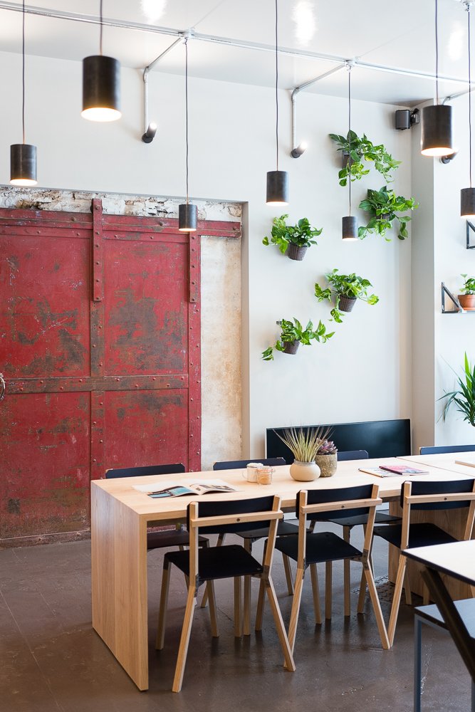 Society Café specialty coffee shop in Bristol - photo 3