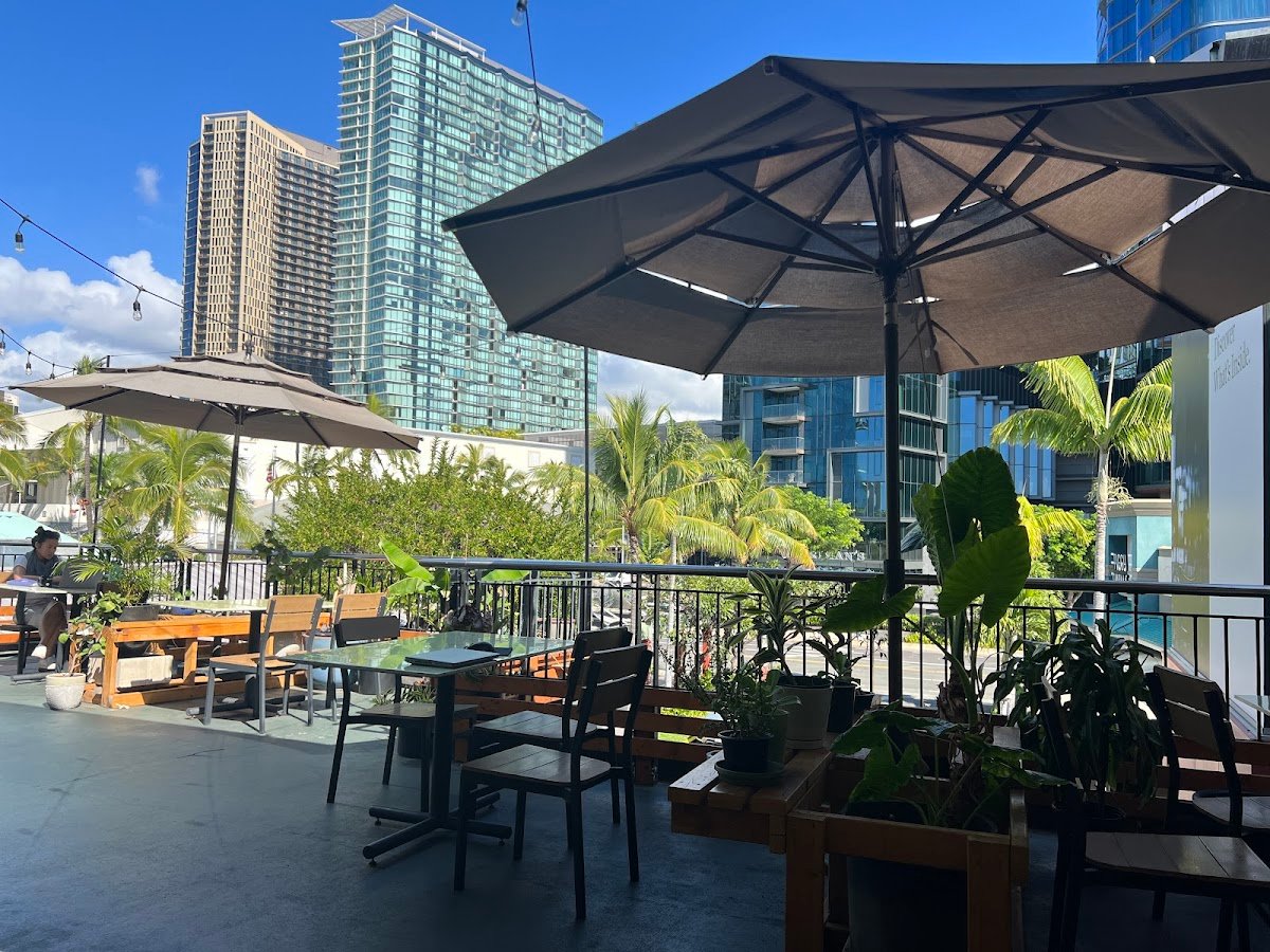 TRY Coffee specialty coffee shop in Honolulu - photo 2