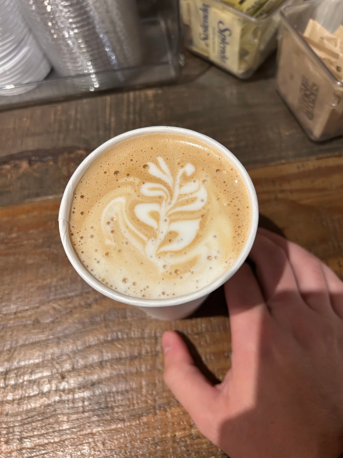 red e café roasters specialty coffee shop in Portland - photo 2