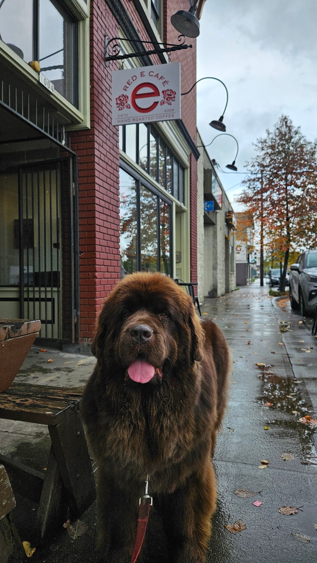 red e café roasters specialty coffee shop in Portland - photo 7