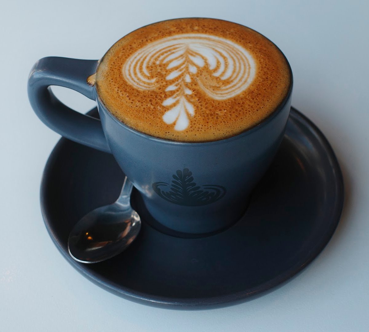 Campos Coffee Newtown specialty coffee shop in Sydney - photo 2