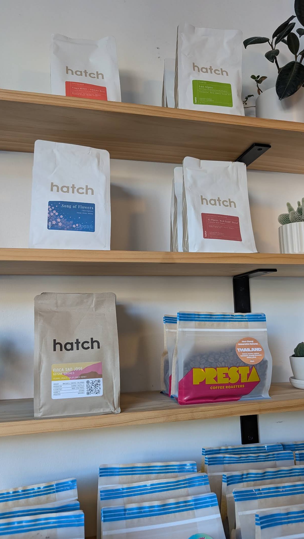 Golden Goat Coffee specialty coffee shop in San Francisco - photo 12