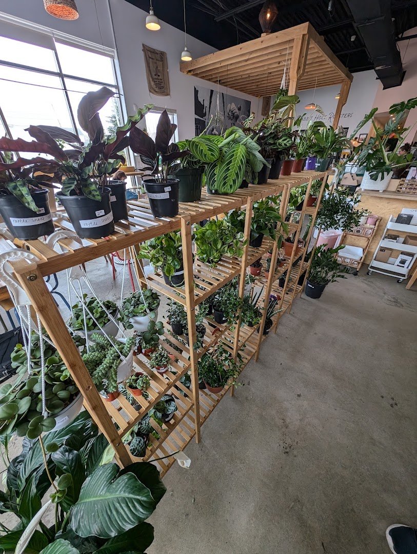 Interior of Rabbit Hole Roasters, specialty coffee shop in Montreal