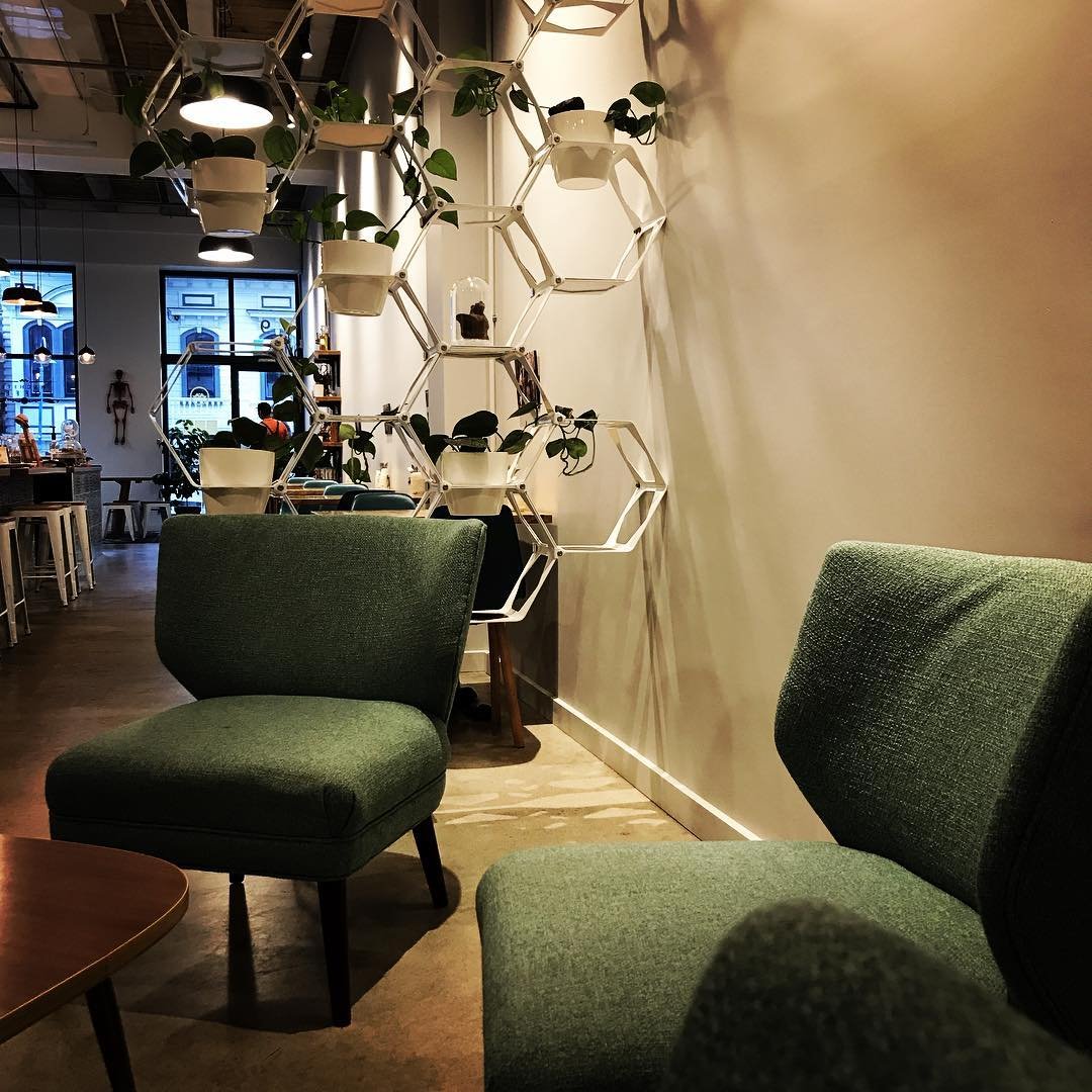 Interior of Machete Coffee, specialty coffee shop in Wellington