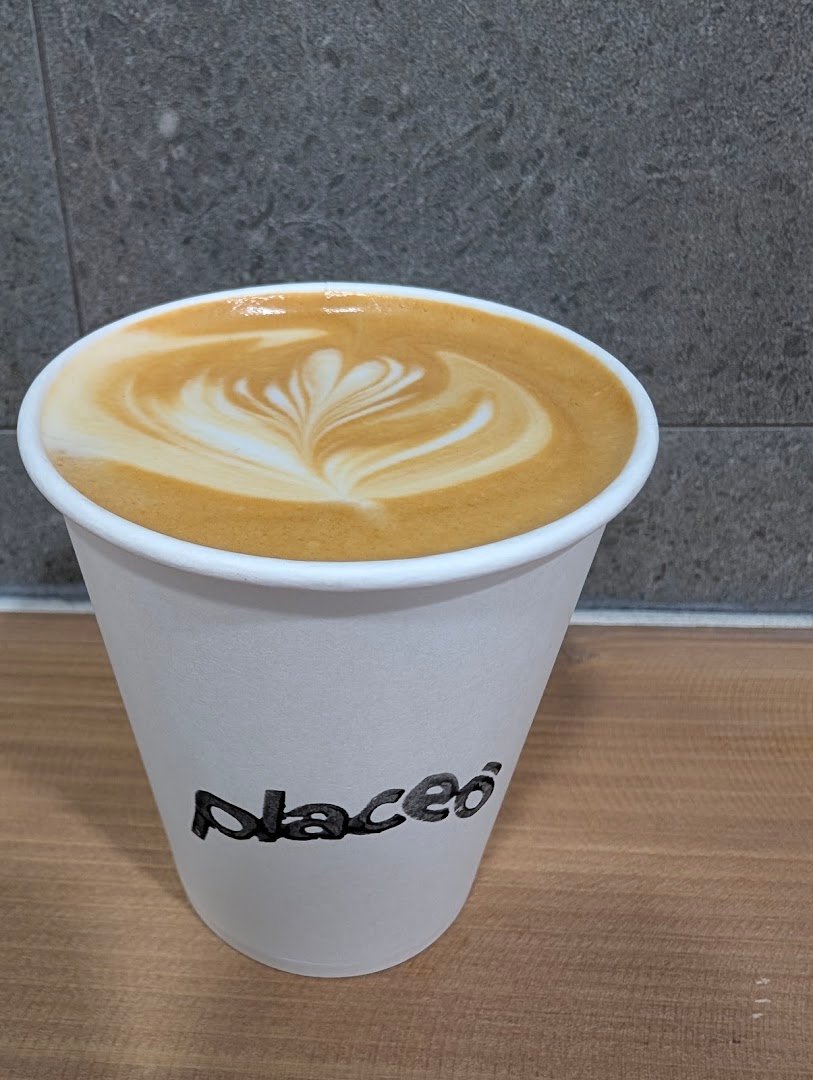 Placeo - Café de Especialidad - Alonso Cano specialty coffee shop in Madrid - photo 2