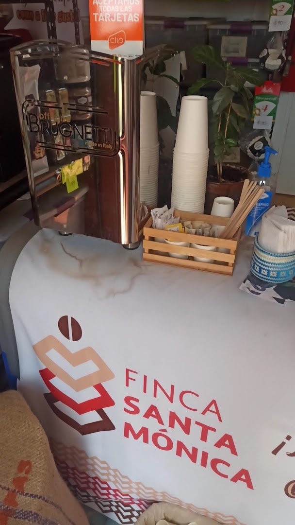 Interior of Café Finca Santa Mónica, specialty coffee shop in Mexico City