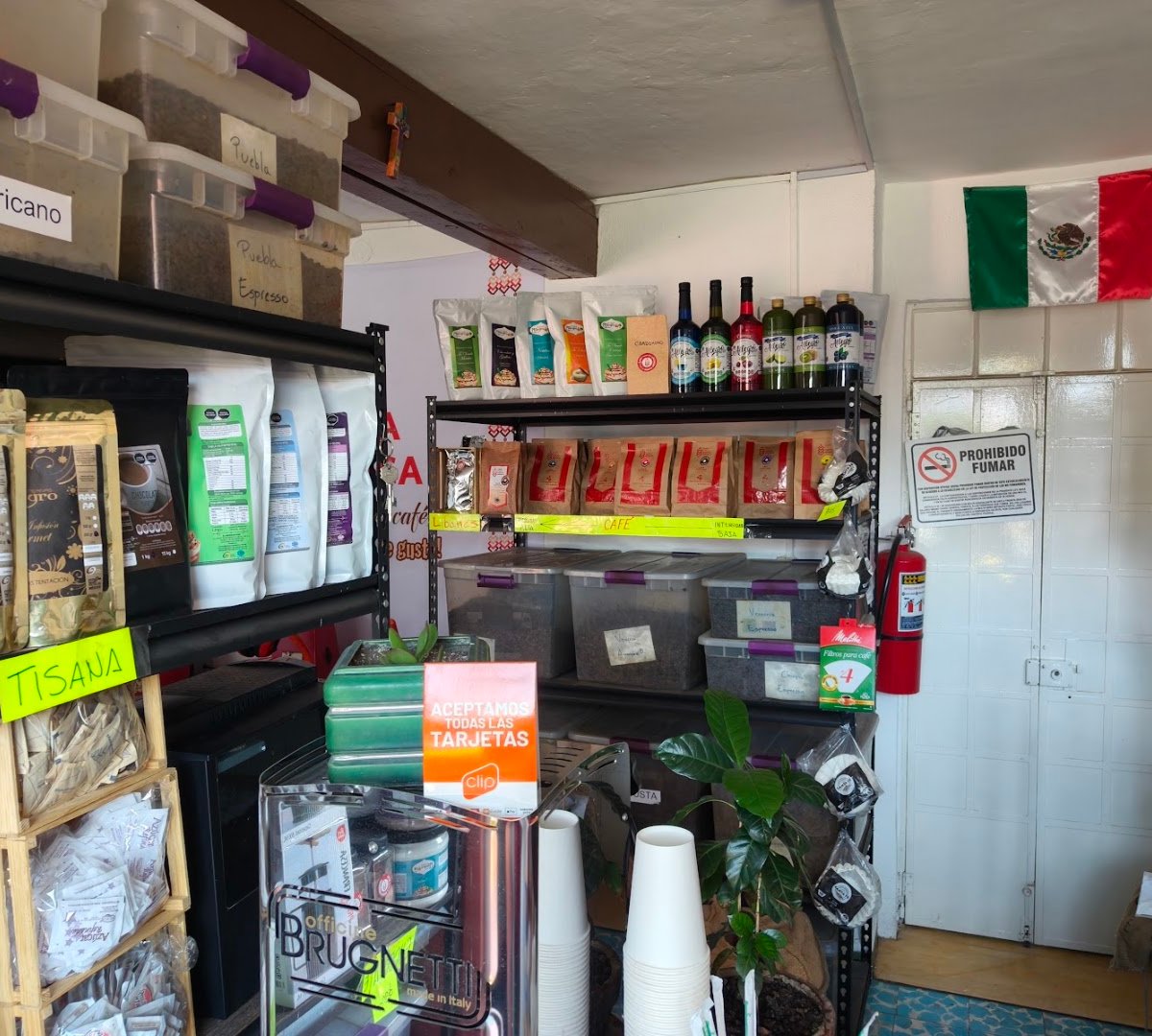 Interior of Café Finca Santa Mónica, specialty coffee shop in Mexico City