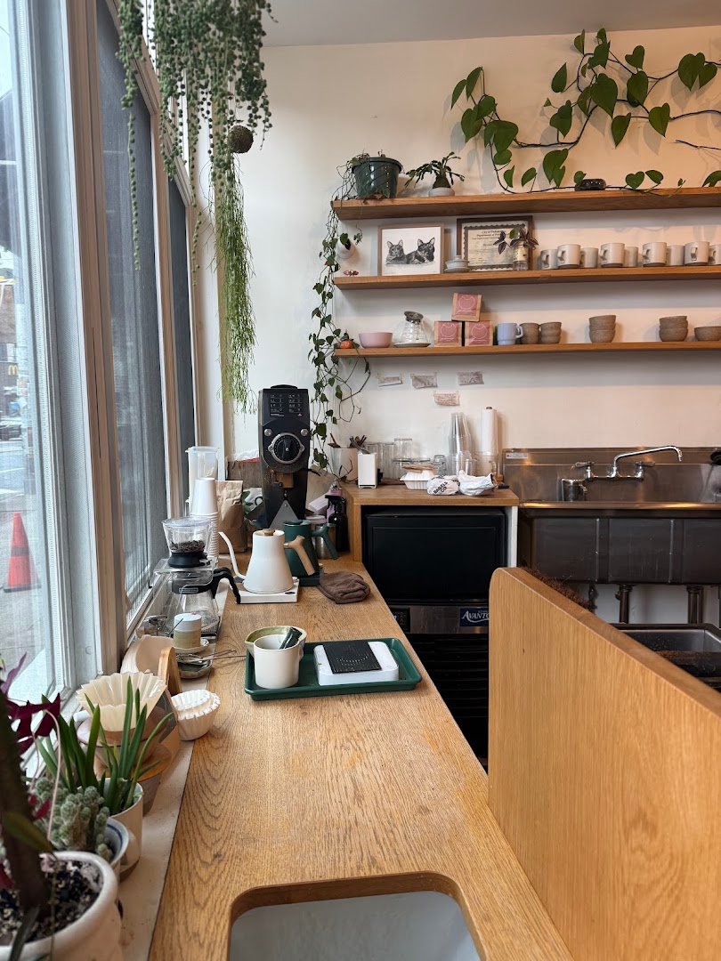 Interior of Persimmon Coffee, specialty coffee shop in Philadelphia