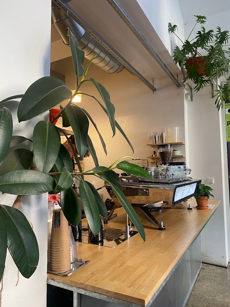 Interior of Acid Coffee, specialty coffee shop in Prague
