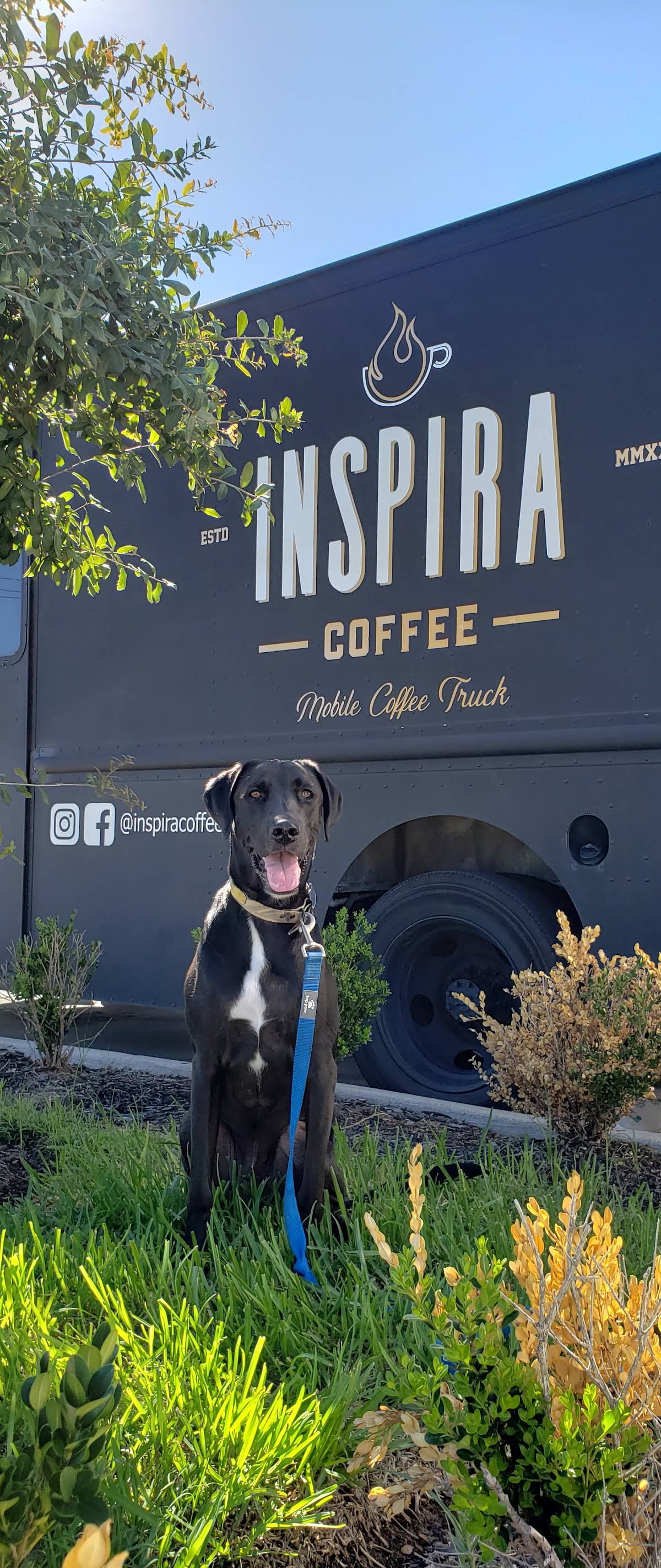 Inspira Coffee Truck specialty coffee shop in Houston - photo 10