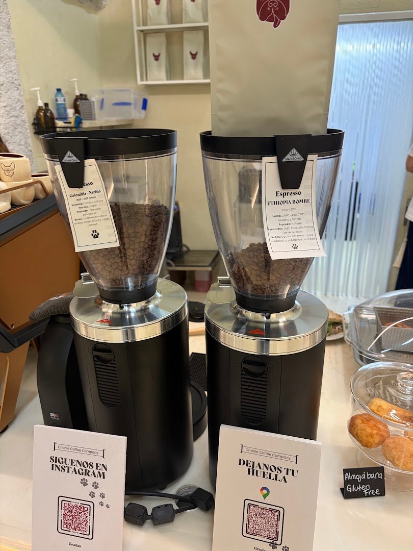 Charlie Coffee Company specialty coffee shop in Barcelona - photo 13