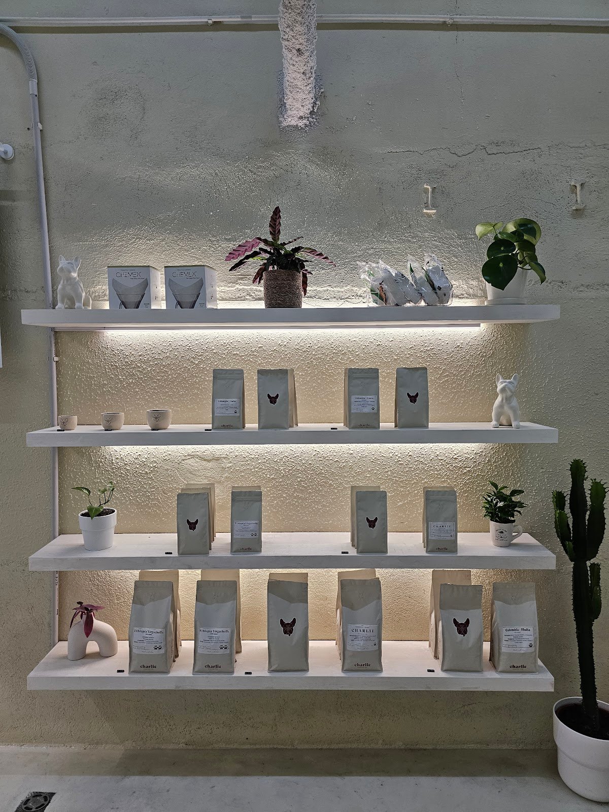 Charlie Coffee Company specialty coffee shop in Barcelona - photo 3