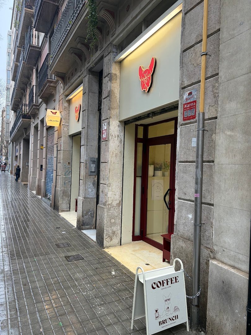 Charlie Coffee Company specialty coffee shop in Barcelona - photo 7