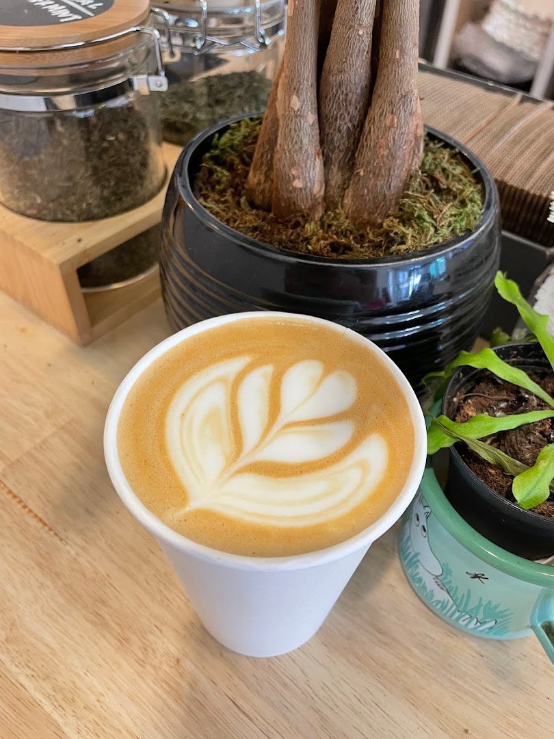 Coffee at Flor and Seed Coffee Roasters, specialty coffee shop in San Diego