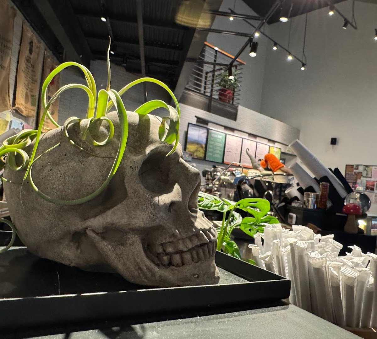 Trail Town Coffee specialty coffee shop in Chattanooga - photo 18