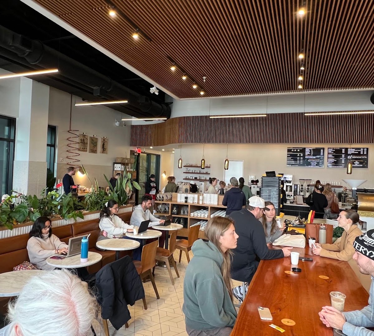 Interior of Shortwave Coffee, specialty coffee shop in Tampa-St. Petersburg