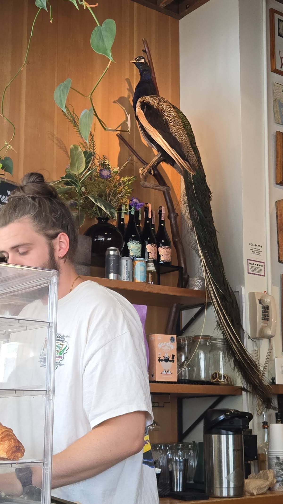 Slow Haste Coffee specialty coffee shop in Portland - photo 12