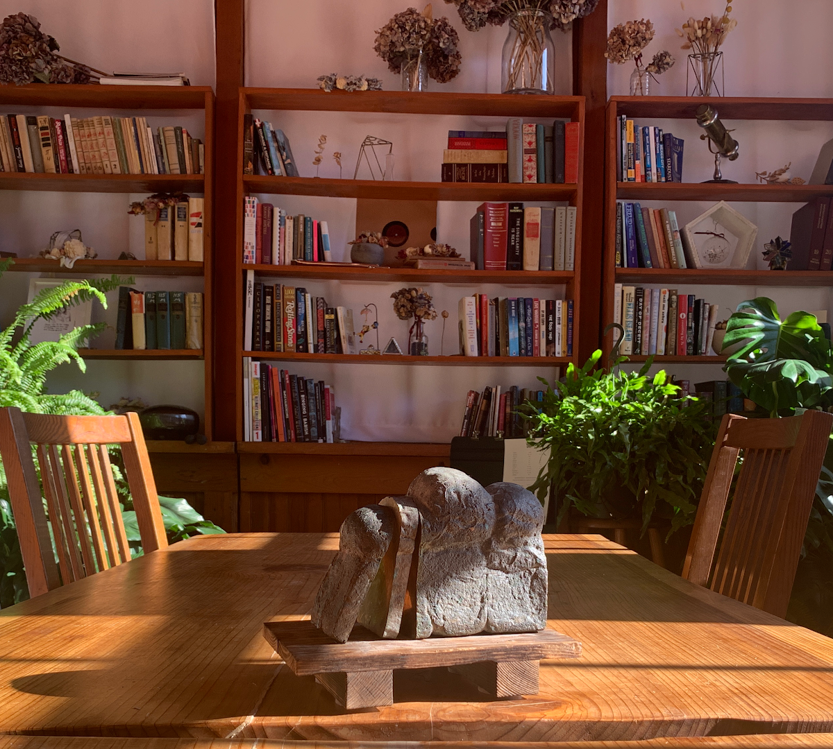 Interior of The Hidden Cafe, specialty coffee shop in Oakland