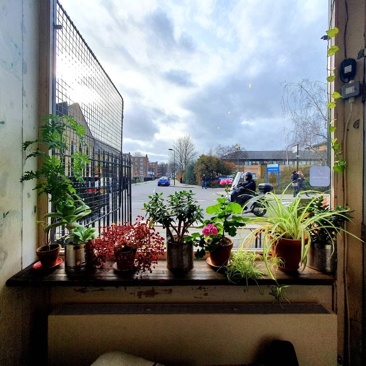 46b Espresso Hut specialty coffee shop in London - photo 10