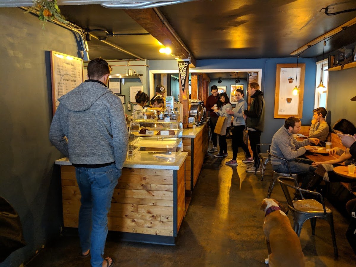 Snowbird Coffee specialty coffee shop in San Francisco - photo 3