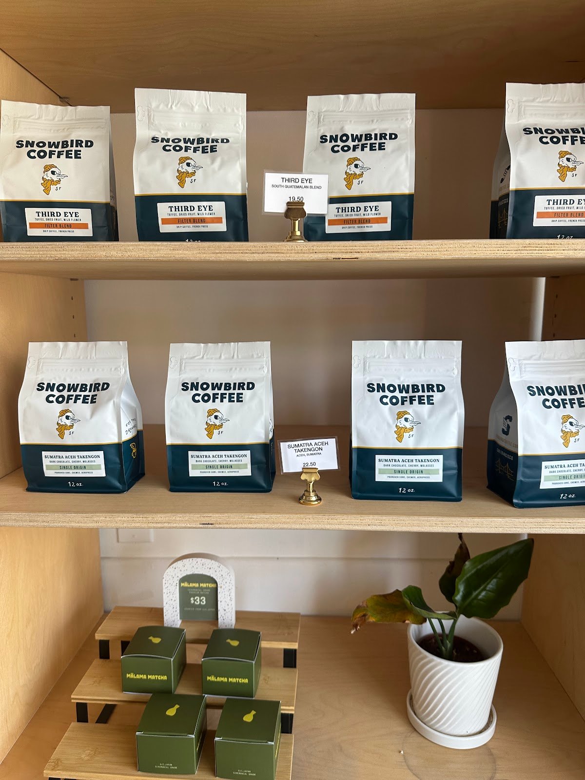 Snowbird Coffee specialty coffee shop in San Francisco - photo 6