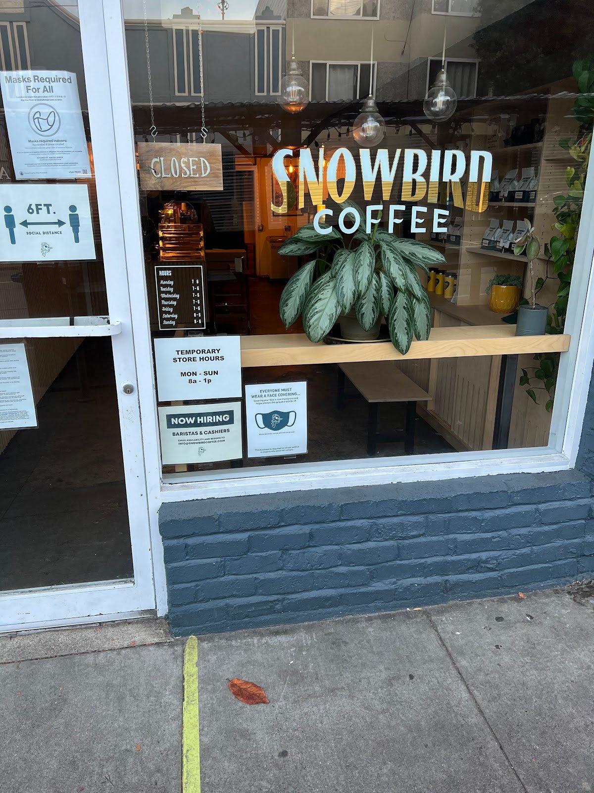 Snowbird Coffee specialty coffee shop in San Francisco - photo 7