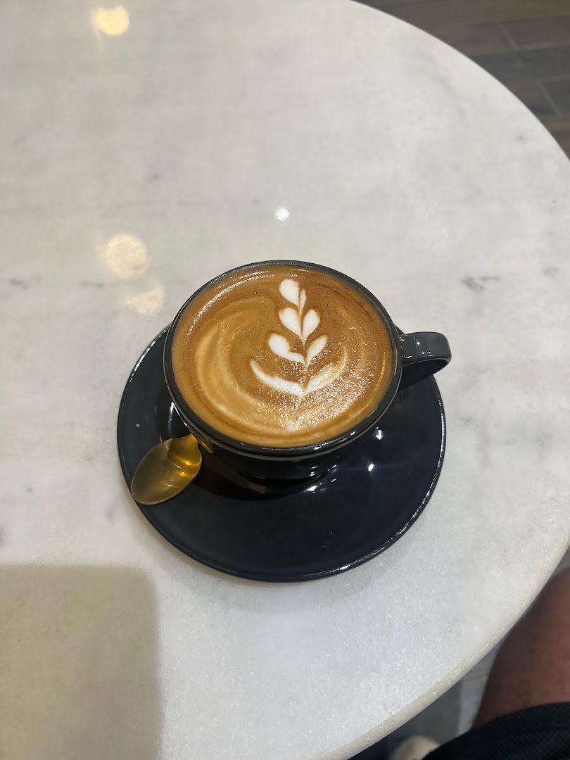 Apothecary Coffee St Leonards specialty coffee shop in Sydney - photo 2