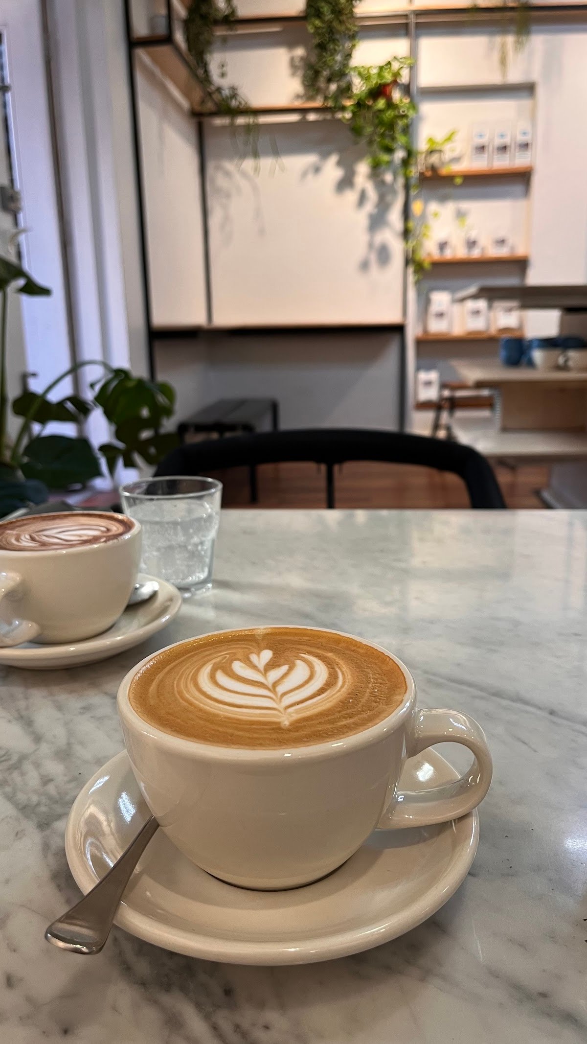 Poolhouse Coffee specialty coffee shop in Melbourne - photo 9