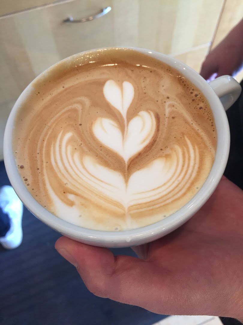 Malaprop's Cafe specialty coffee shop in Asheville - photo 3