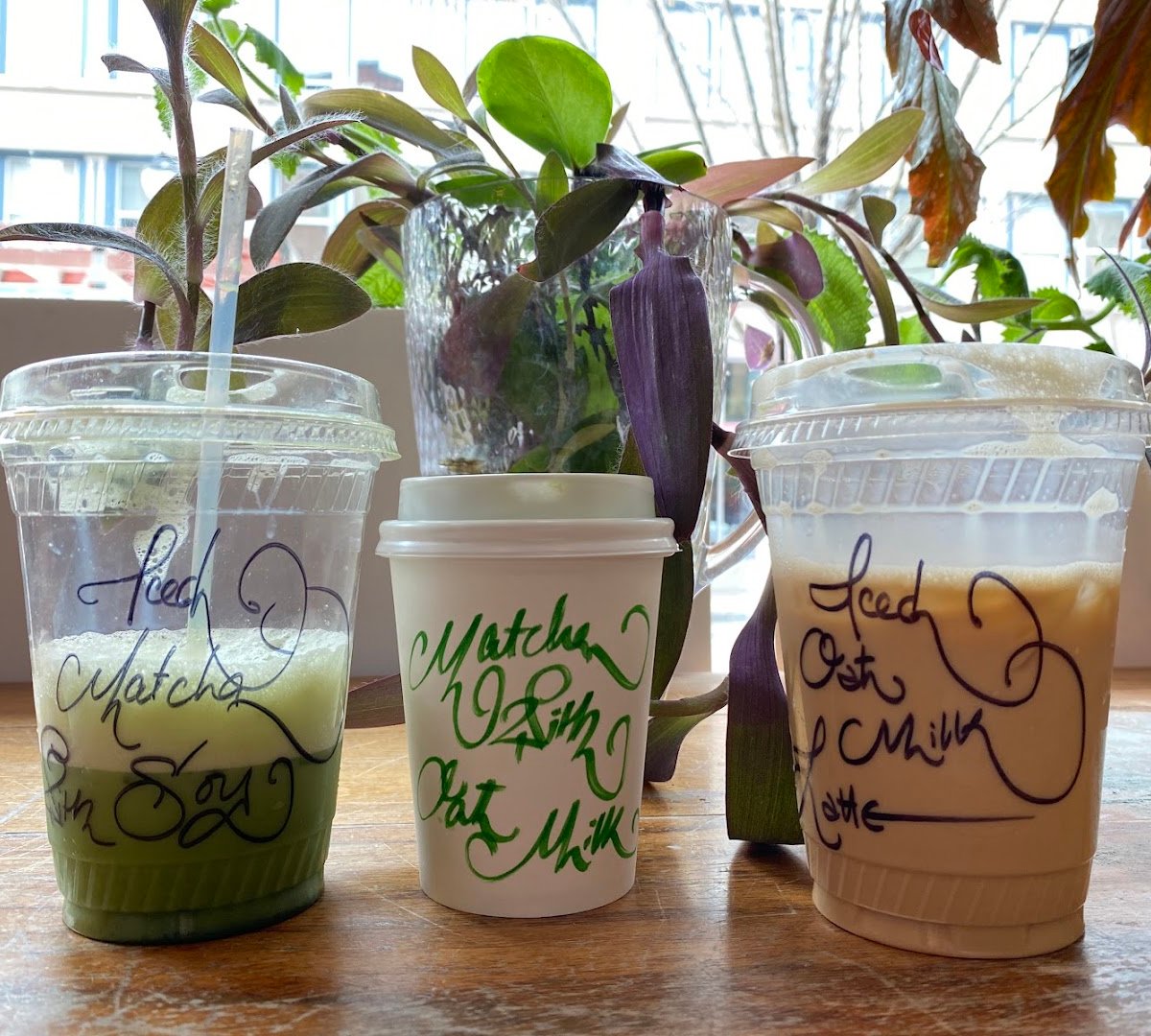 Malaprop's Cafe specialty coffee shop in Asheville - photo 7