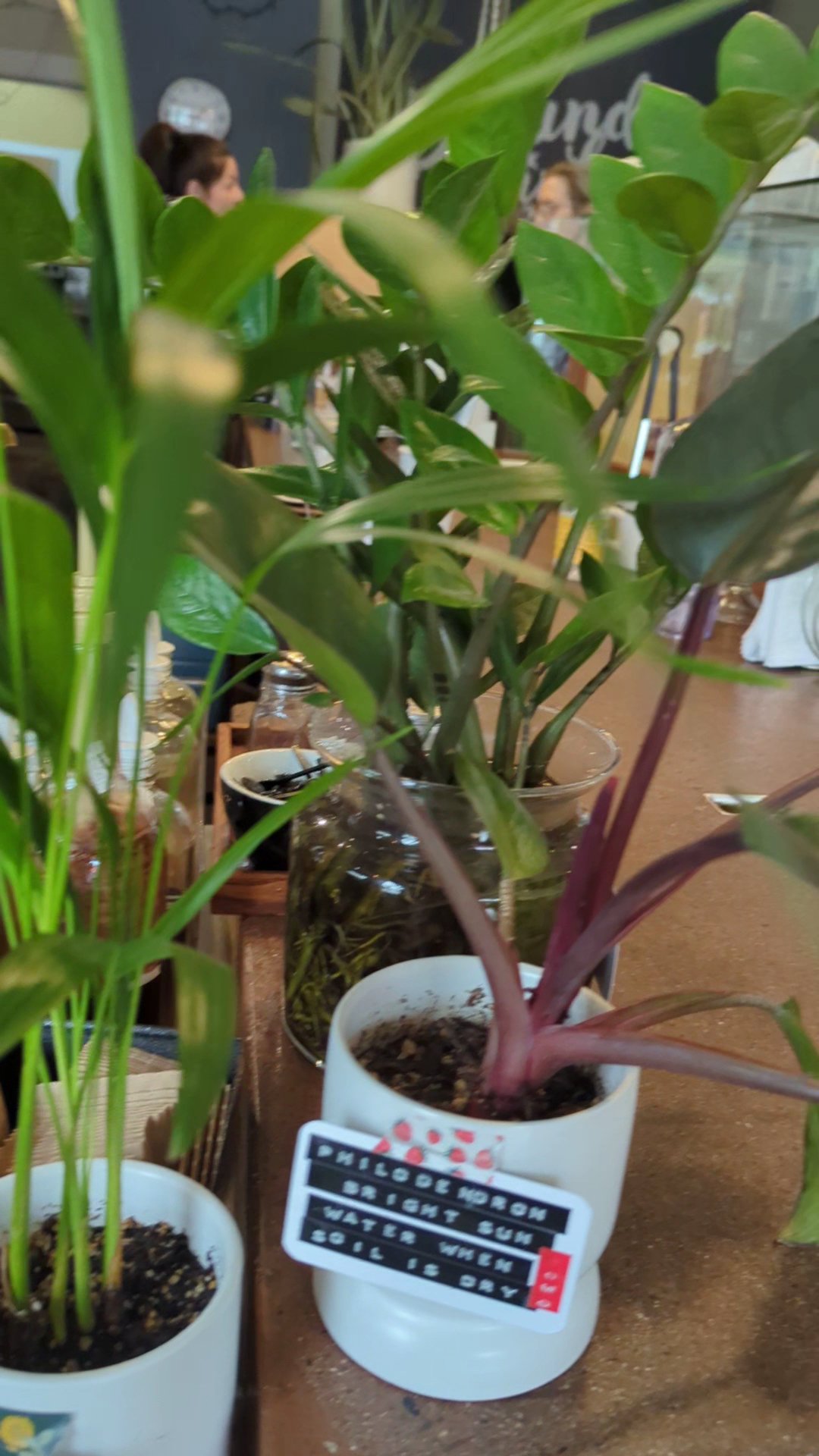 Seven Virtues Coffee Roasters on Glisan specialty coffee shop in Portland - photo 13