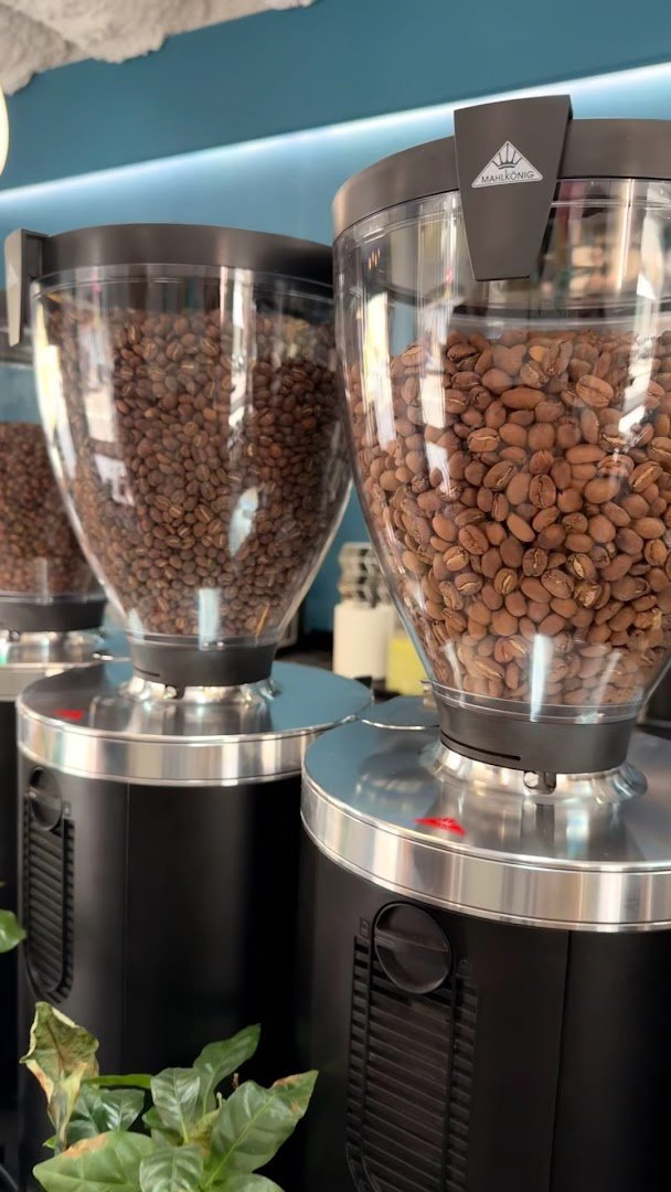 The Madness Speciality Coffee Shop specialty coffee shop in Barcelona - photo 7