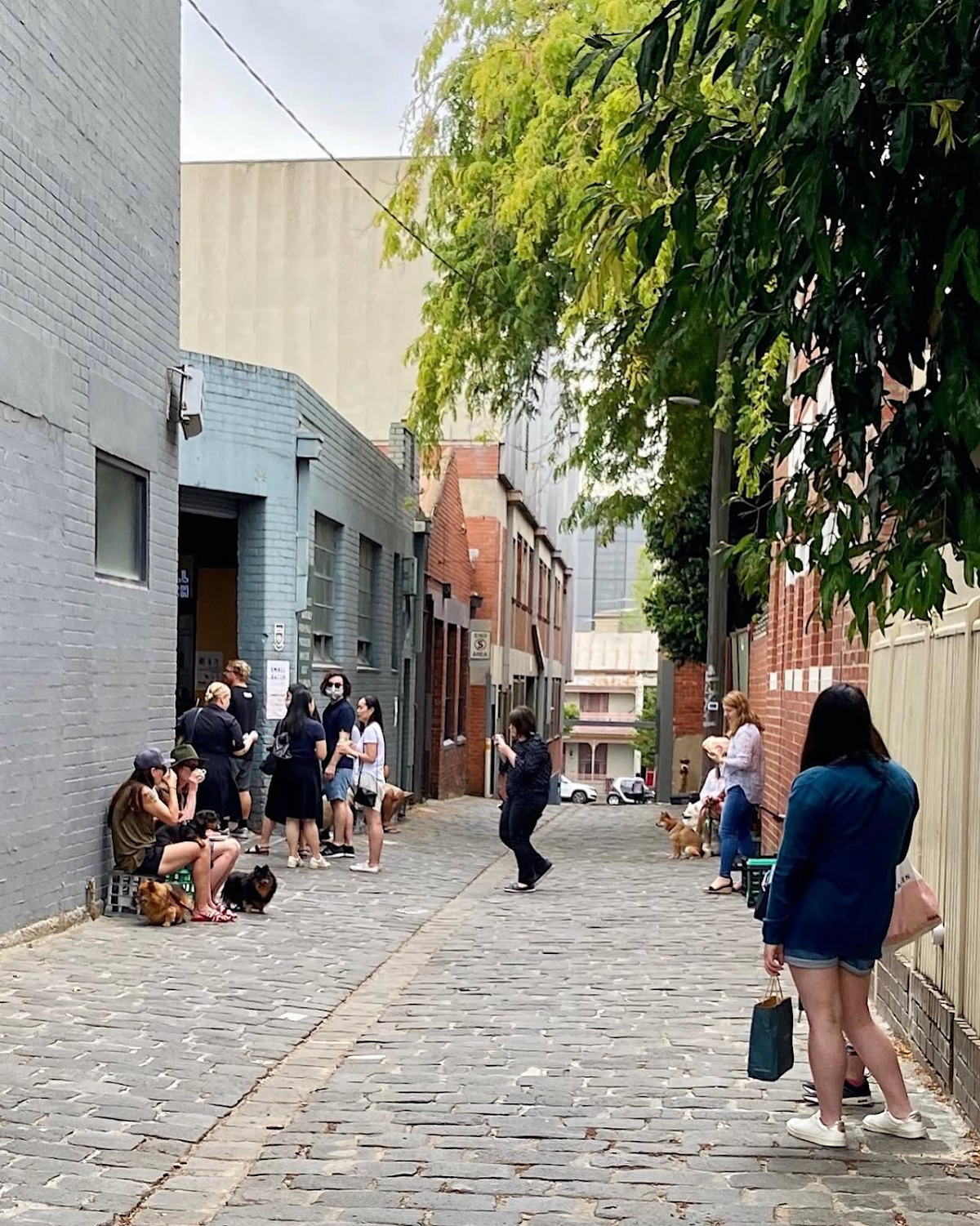 Small Batch Roasting Co. specialty coffee shop in Melbourne - photo 3