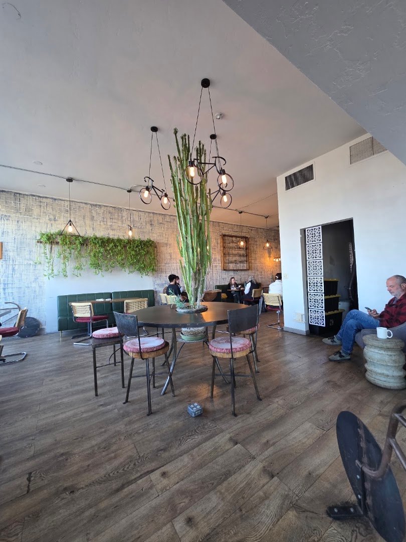 Crave Coffee Bar specialty coffee shop in Tucson - photo 2
