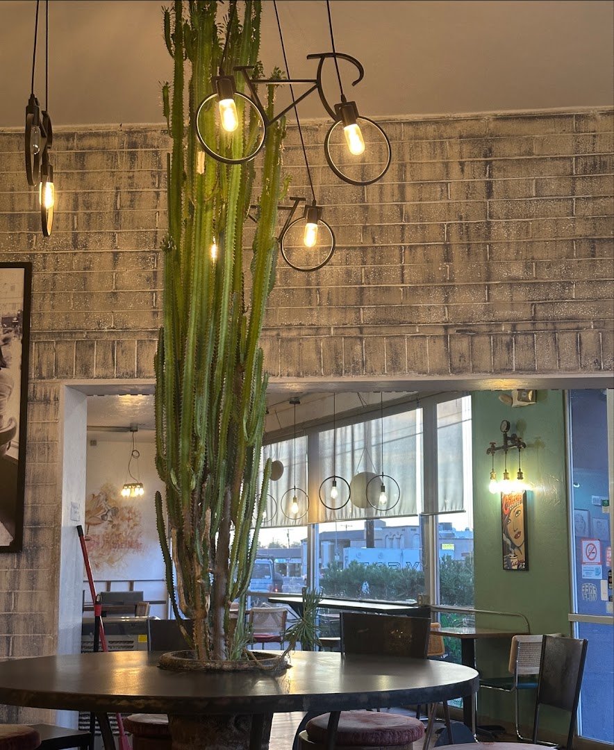 Crave Coffee Bar specialty coffee shop in Tucson - photo 7