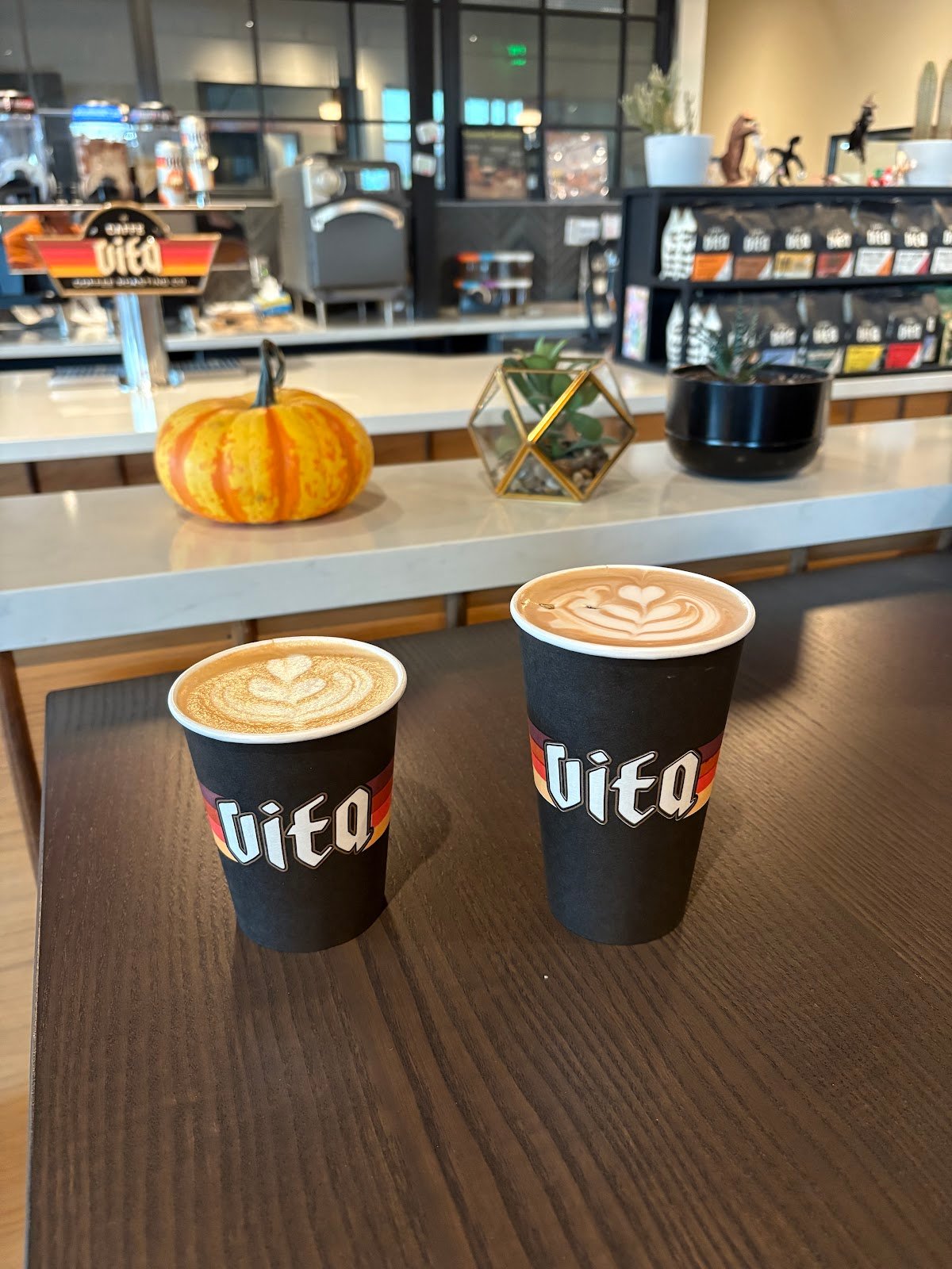 Caffe Vita specialty coffee shop in Phoenix - photo 4