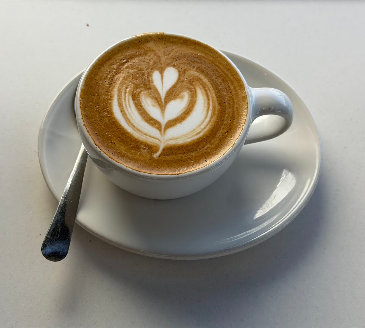 Coffee at Blue Bottle Coffee, specialty coffee shop in San Diego