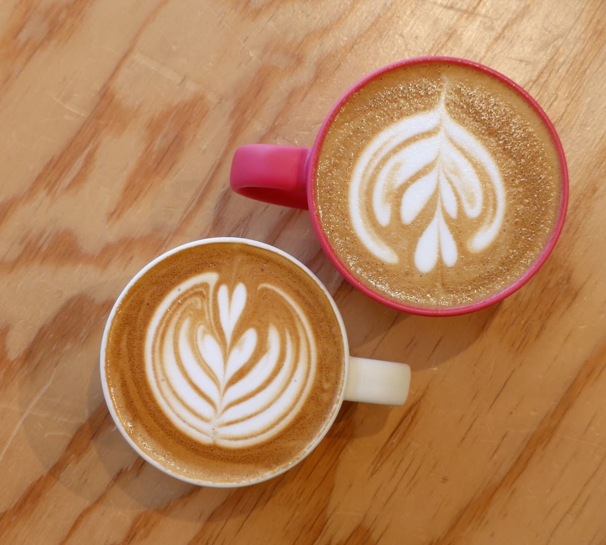 Coffee at Sedai Coffee and Roasters, specialty coffee shop in Tokyo